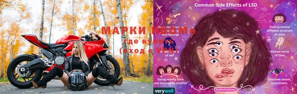 apvp Кукмор