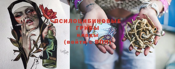 apvp Кукмор