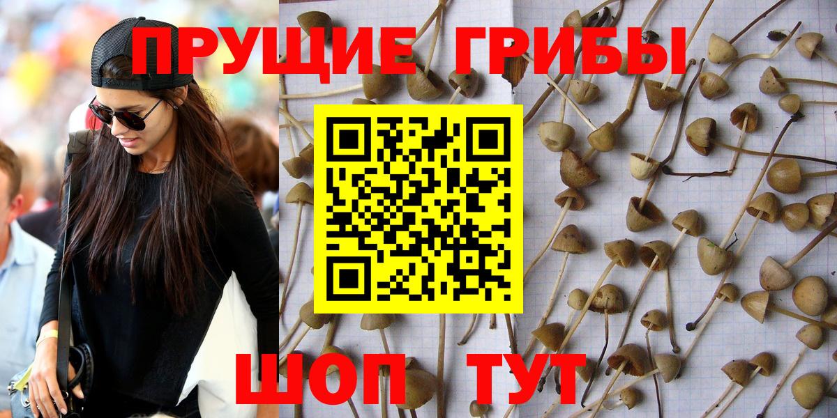 Псилоцибиновые грибы ЛСД  Вход с VPN  Учалы 