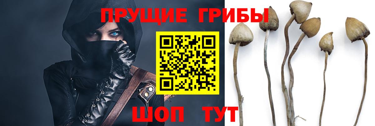 Псилоцибиновые грибы ЛСД Учалы